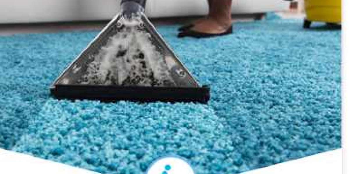 Carpet Cleaning in Oakville