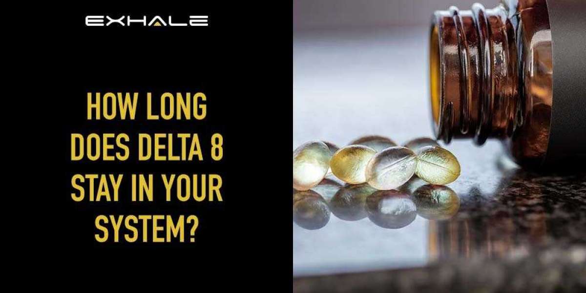 Are You Curious To Learn About How Long Does Delta 8 THC Stay in Your System?