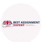 Best Assignment Expert