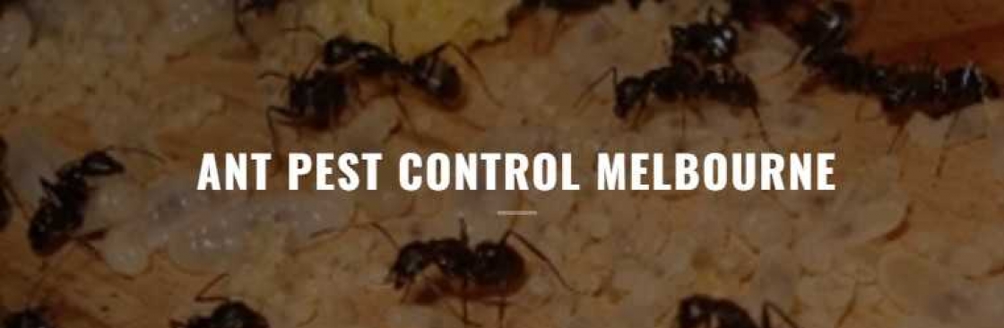 Ant Pest Control Melbourne Cover Image