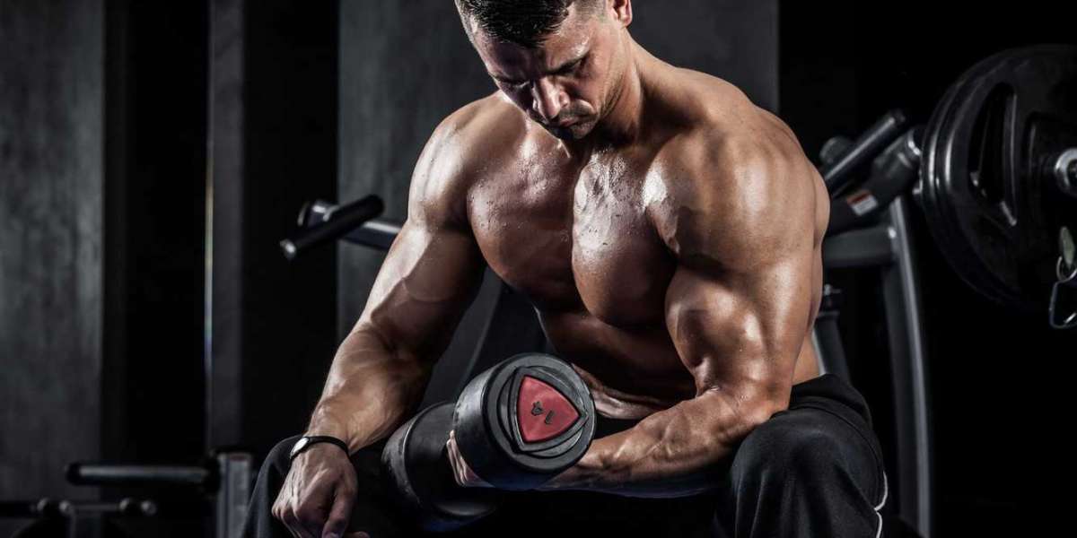Why People Prefer To Use Sarms?