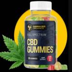 Canna Bee CBD Gummies