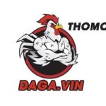 ĐáGà Thomo