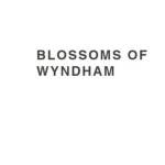 blossomof wyndham