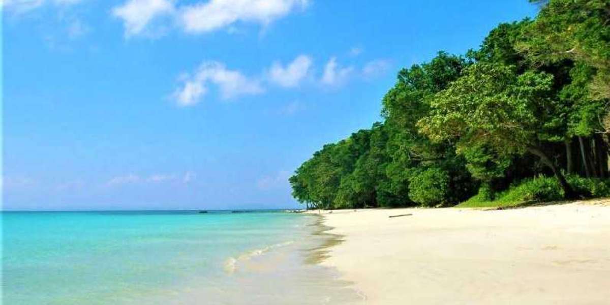 Top 10 Beaches in Andaman and Nicobar Islands