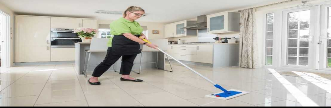 Professional Cleaning Cover Image