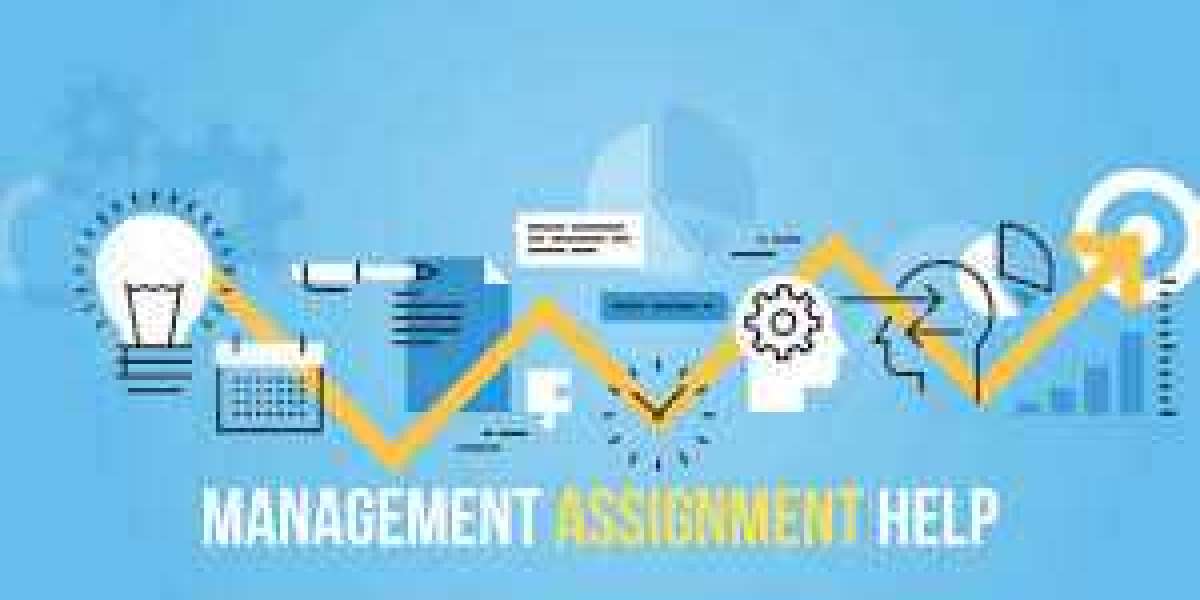 Unlock the Secrets of Success with Expert Management Assignment Help