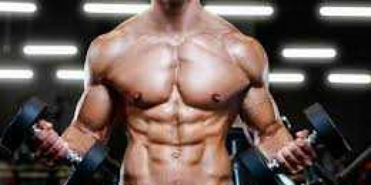 Best Natural Testosterone Boosters in Australia Canada 2024 - Great Green Wall