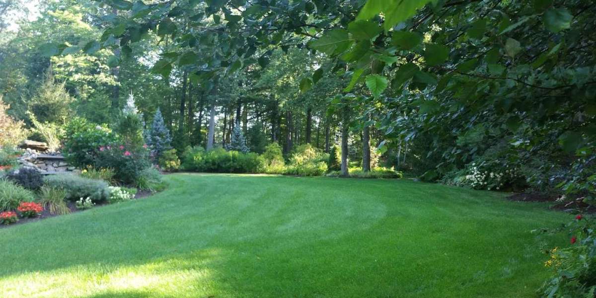 Top Benefits of Hiring a Local Lawn Service