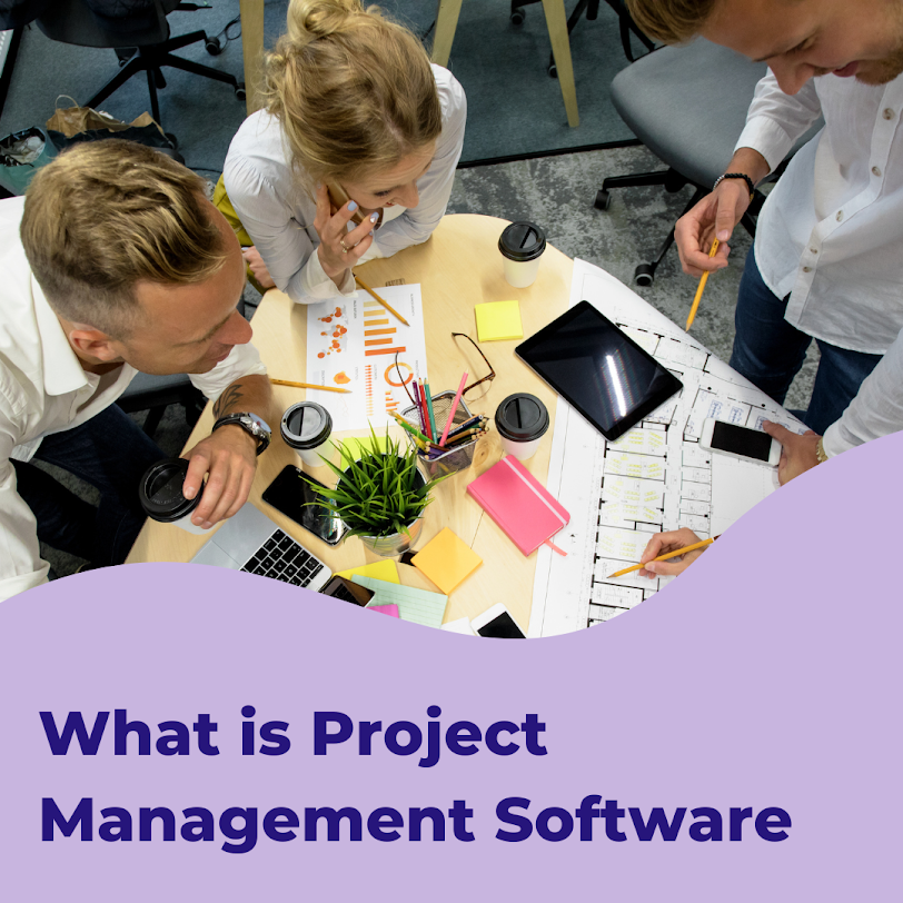 What is Project Management Software?  - Celoxis®