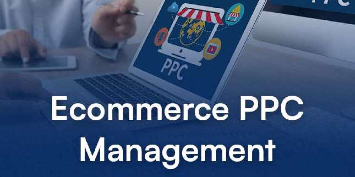 2024 Ecommerce PPC Management Guide: Complete Overview