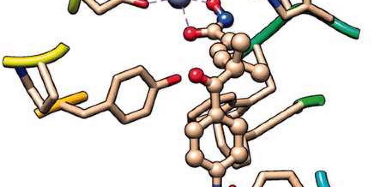 Histone Deactylase Inhibitor Market Insight | Outlook | Growth Analysis Report 2032