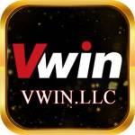 VWIN LLC