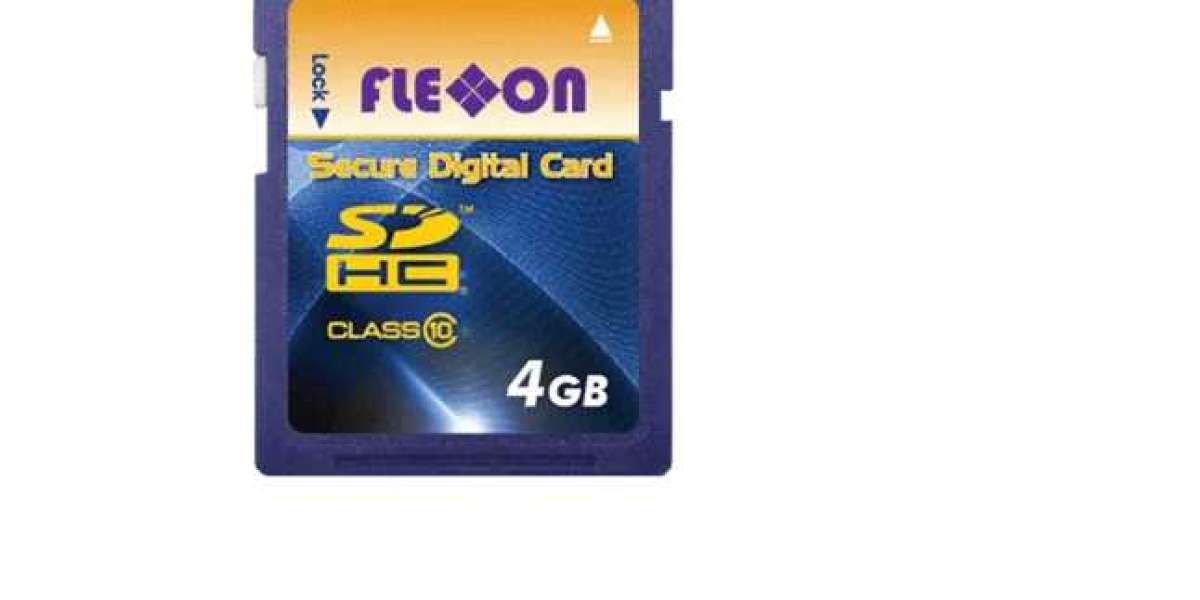 Flexxon Read Only SD Card: Secure and Reliable