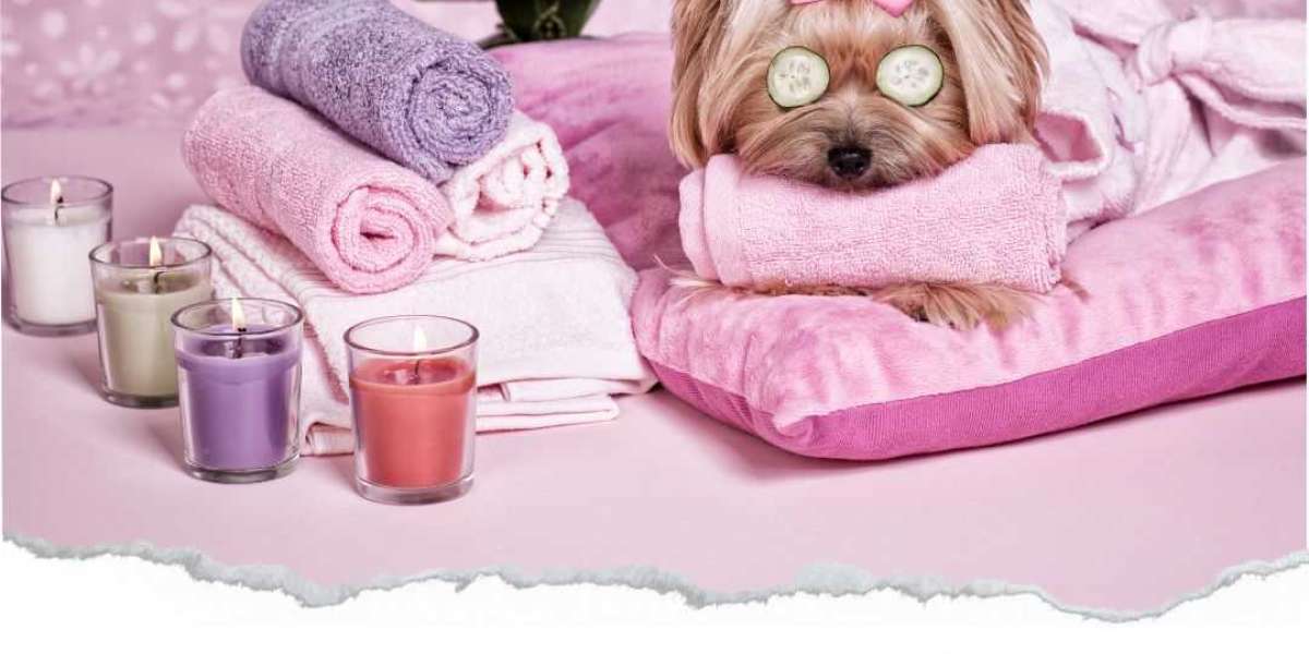 The Benefits of Regular Dog Bath Services for Your Furry Friend