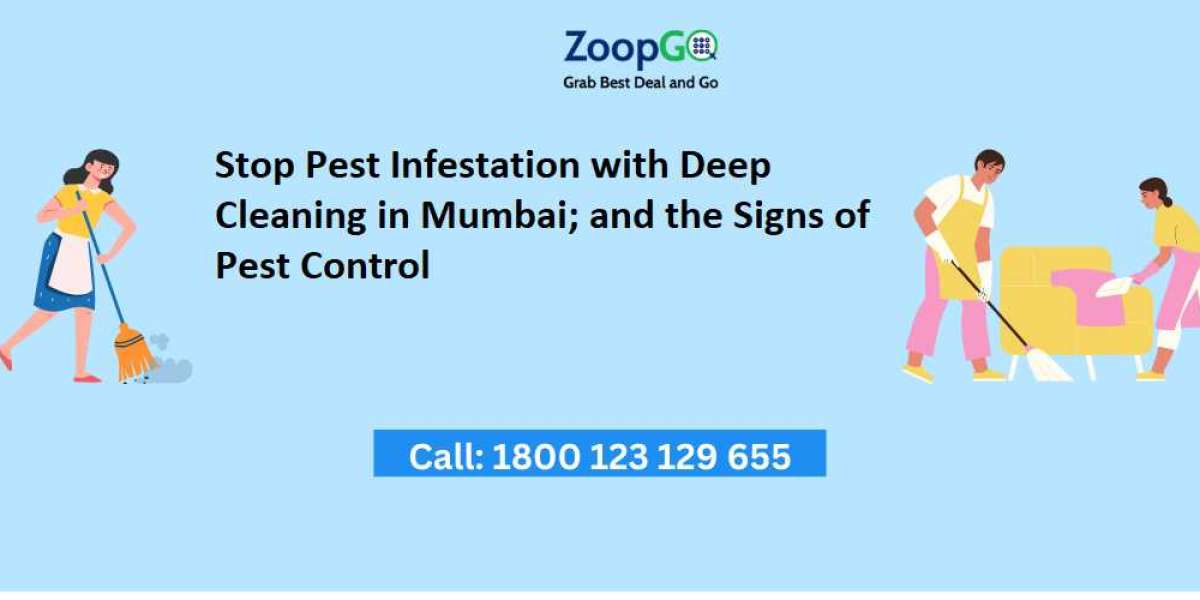 Stop Pest Infestation with Deep Cleaning in Mumbai; and the Signs of Pest Control