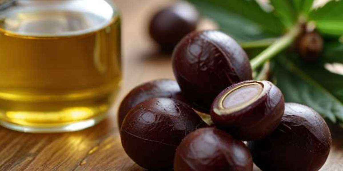 Castor Oil Market to Reach 887.2 Kilo Tons by 2032 | CAGR of 1.1% during 2024-2032