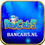 BANCAH5 Profile Picture