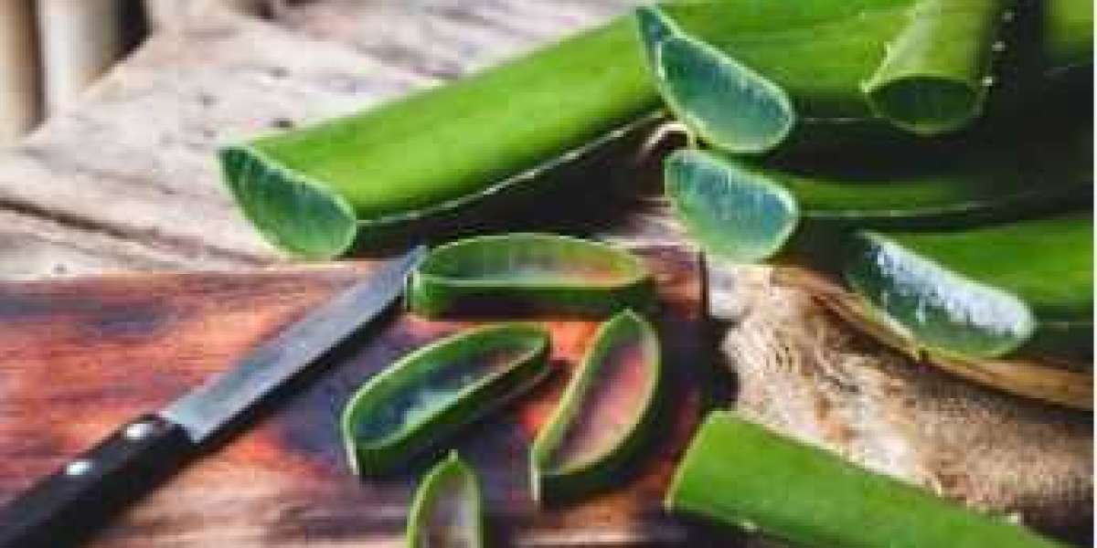 Aloe Vera Market Size is Projected To Exhibit Growth Rate 6.5% CAGR During 2024-2032