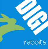 Search Engine Optimization – DIGIrabbits