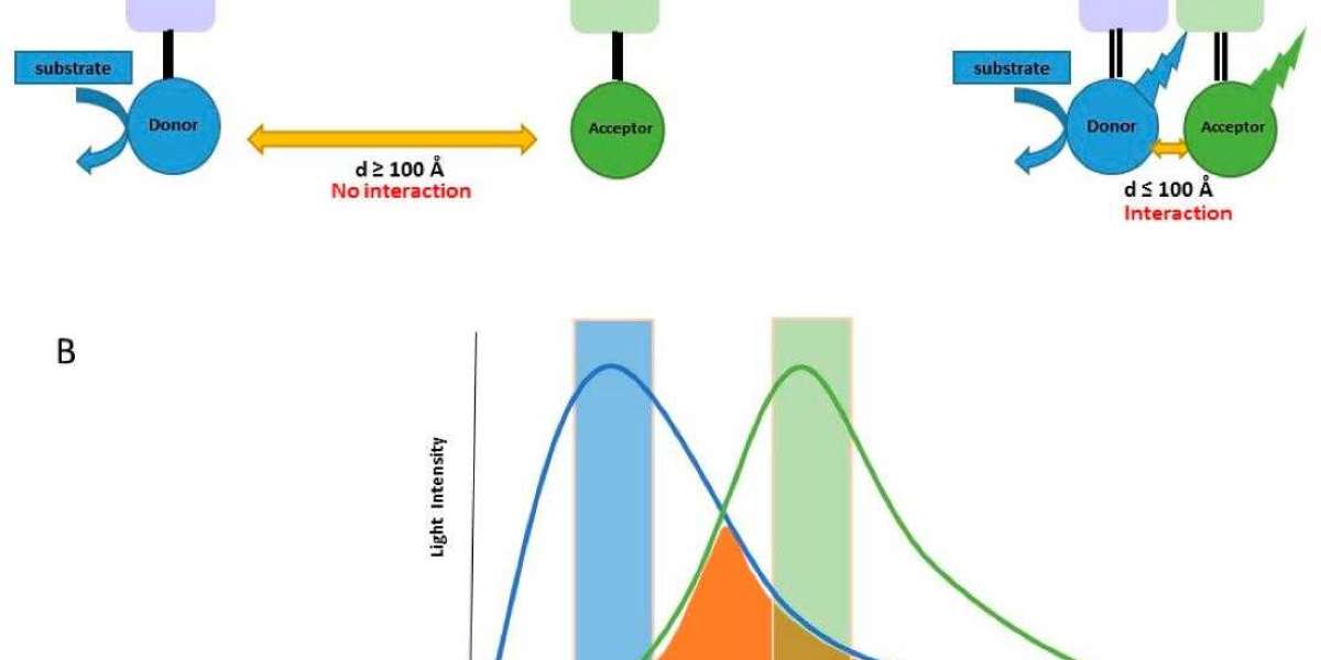 CLIP-seq: Identifying RNA-binding Protein Binding Sites