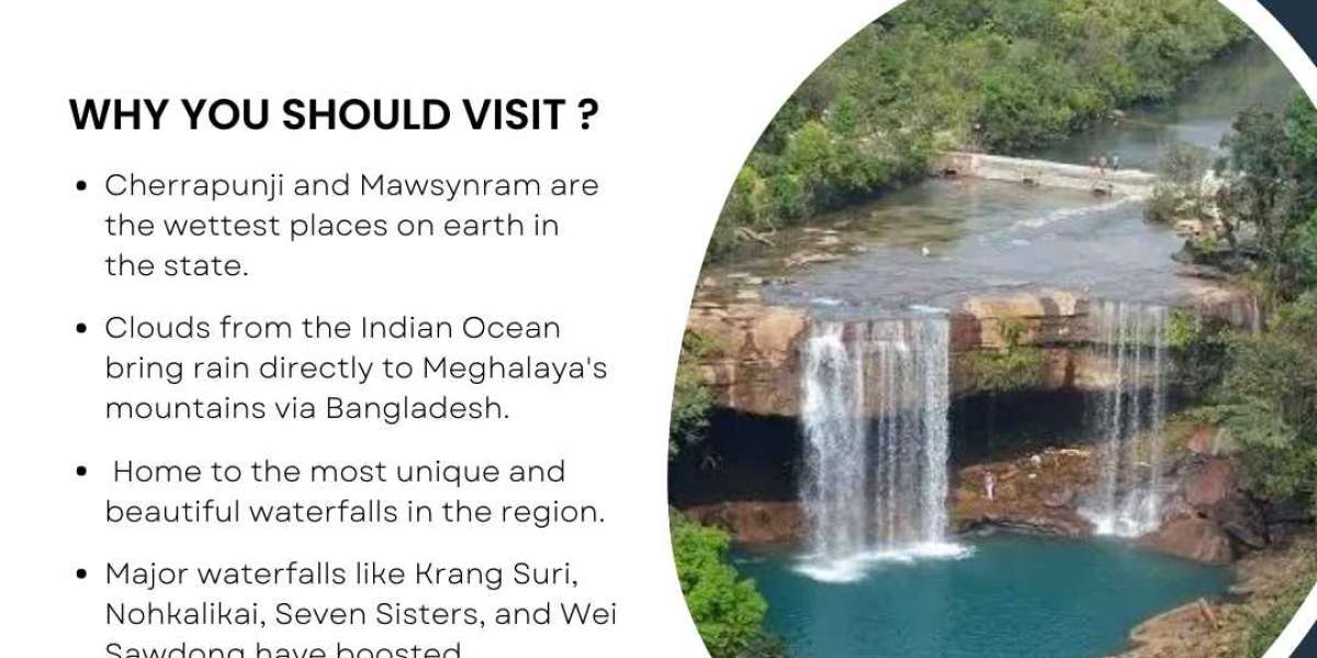 Exploring the Enchanting Beauty of Meghalaya: Top Places to Visit in 2024