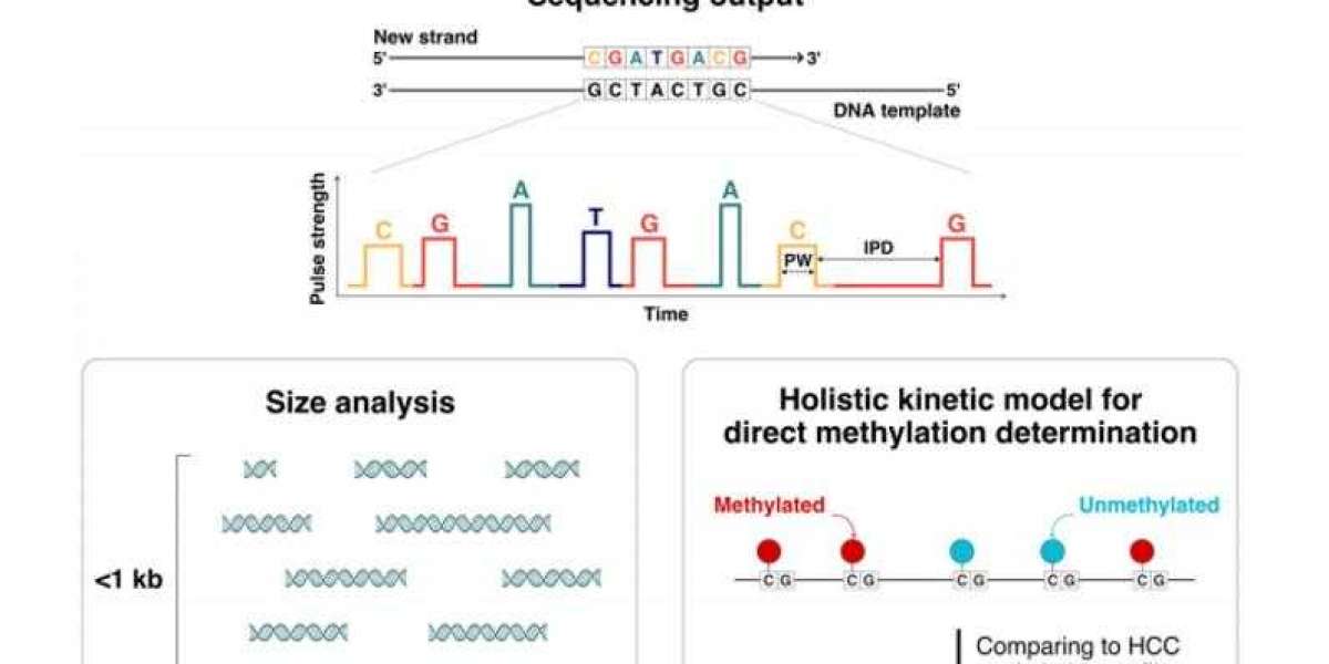 Single-Molecule Real-Time Sequencing in cfDNA Analysis