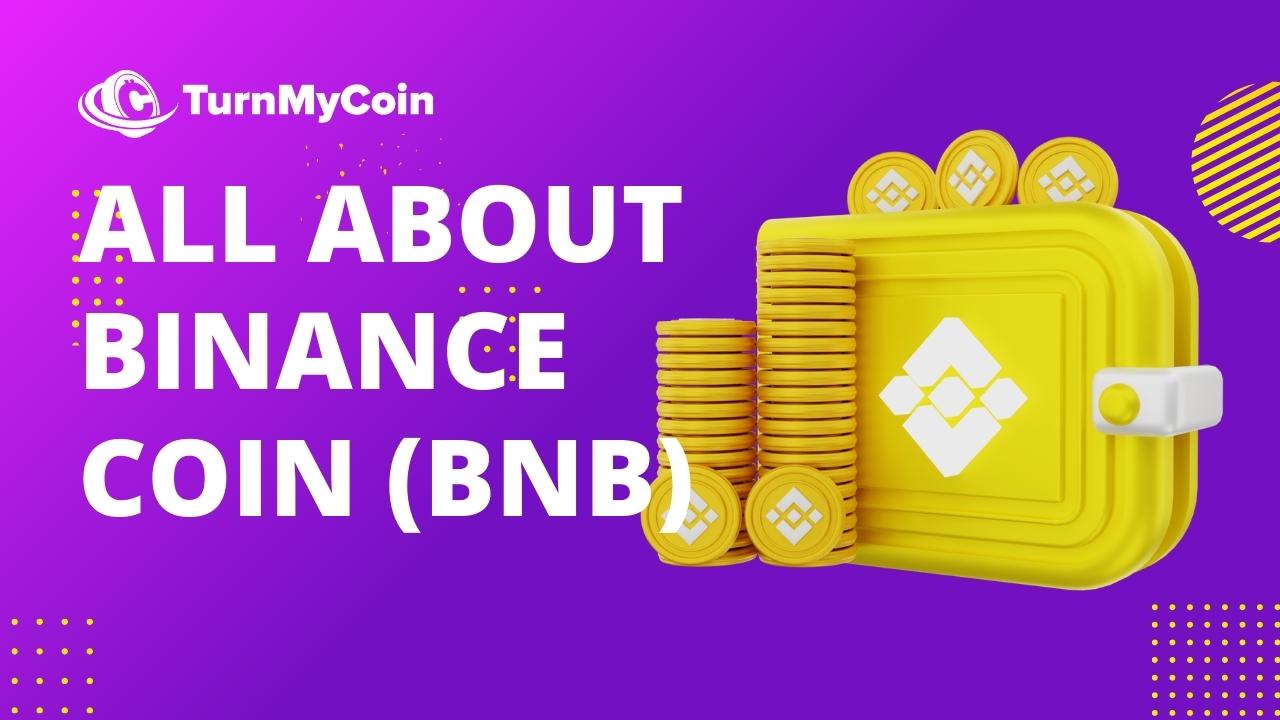 8 Promising Facts About Binance Coin. Is BNB A Good Investment - TurnMyCoin How to Buy Bitcoin in 2024 | Best Bitcoin Wallets