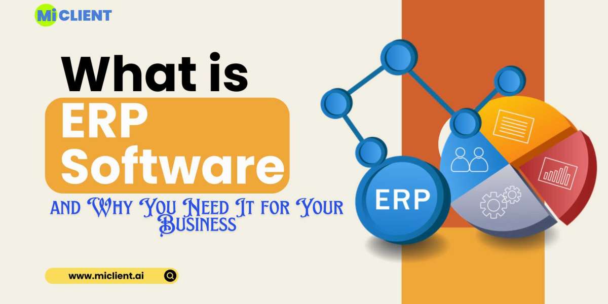 What is ERP Software and Why You Need It for Your Business