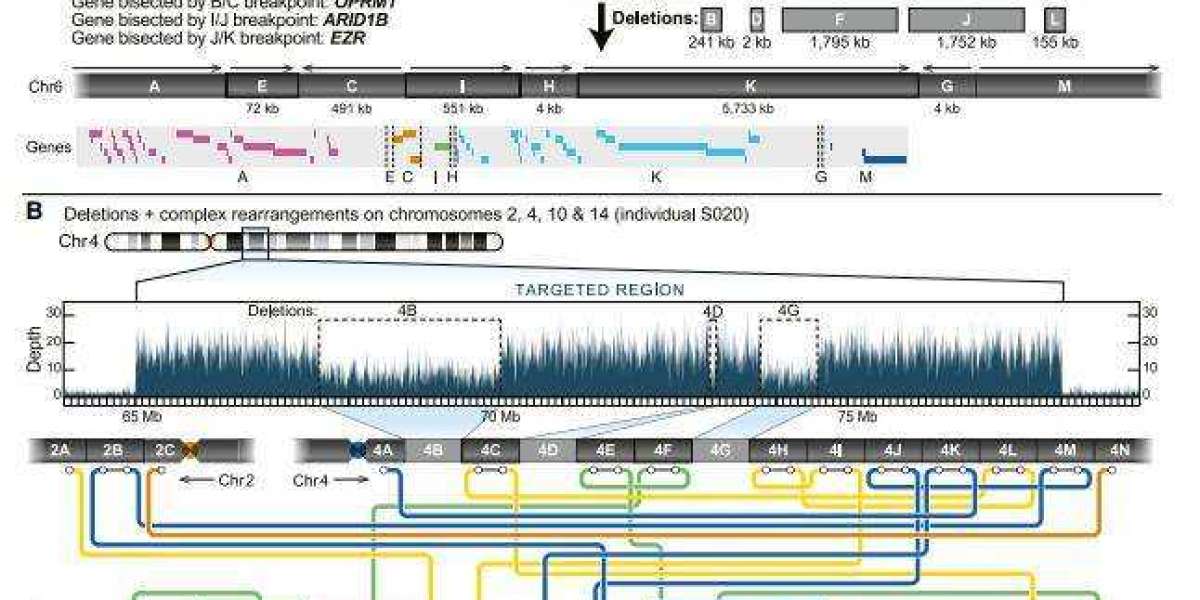 Long-read Sequencing Reveals Unseen Genomic Variants