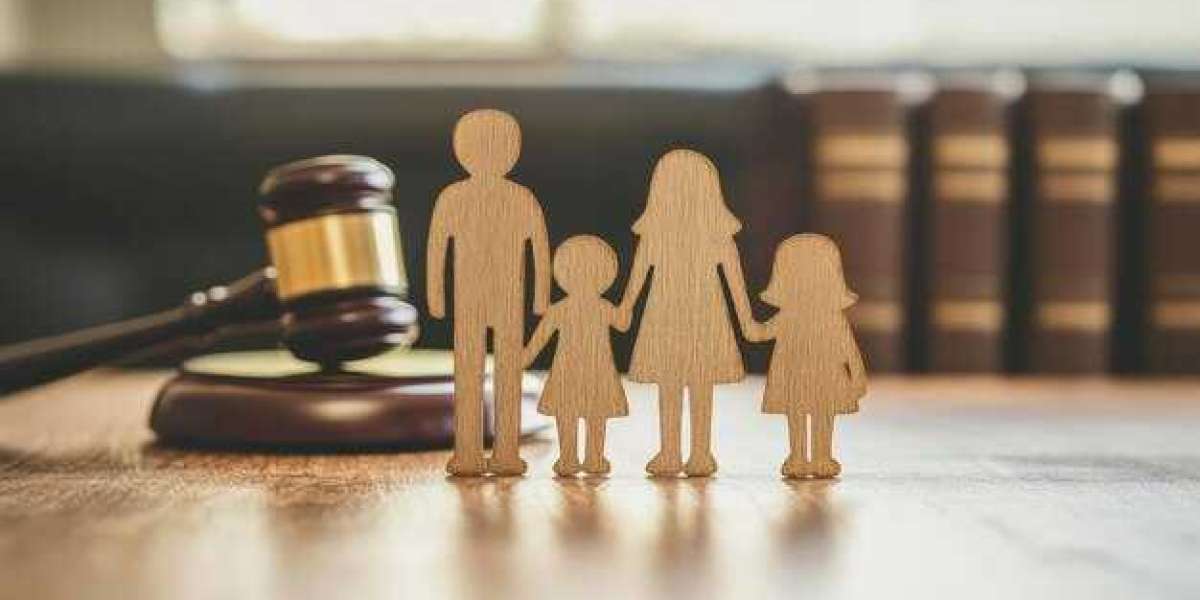 Expert Guidance in Juvenile Court: Adoption Cases