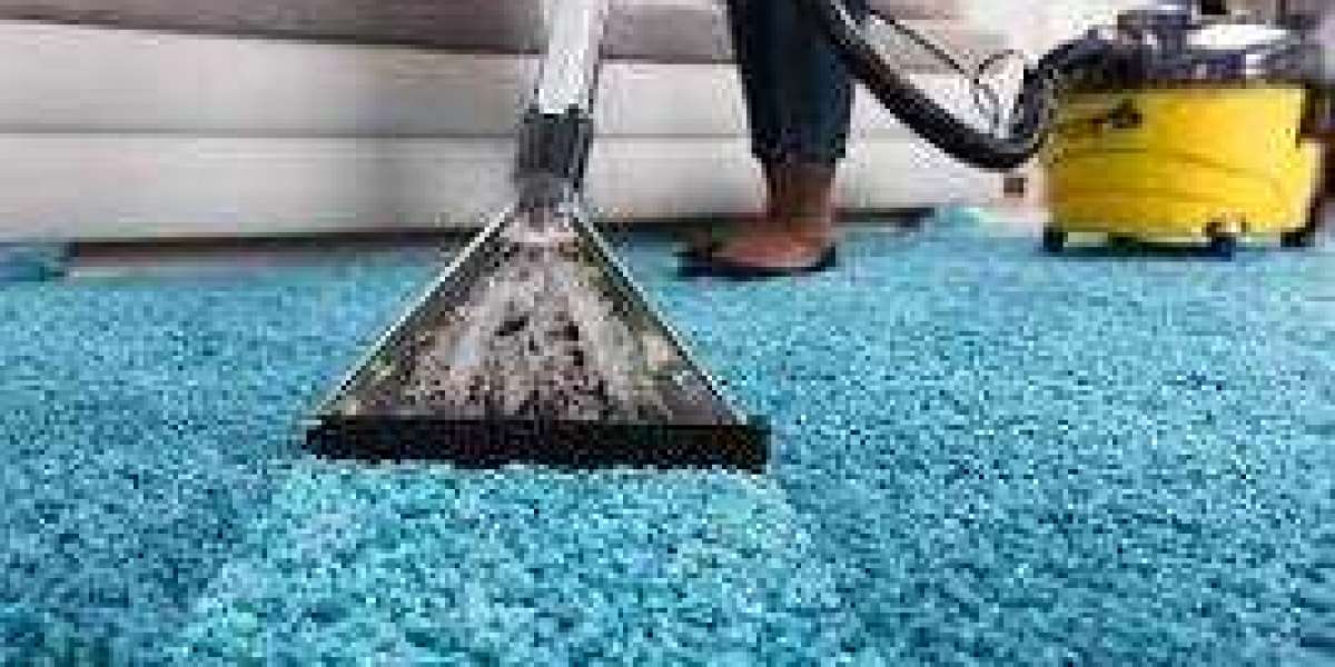 Why Carpet Cleaning Is Important for Home Comfort and Well-Being