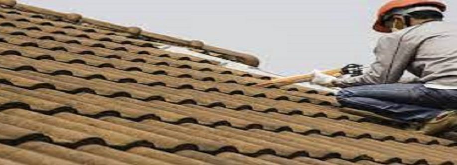 Alanis Roofing Cover Image