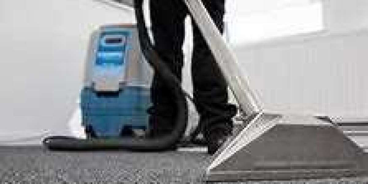 Why Professional Carpet Cleaning Is Vital for a Beautiful Home Environment