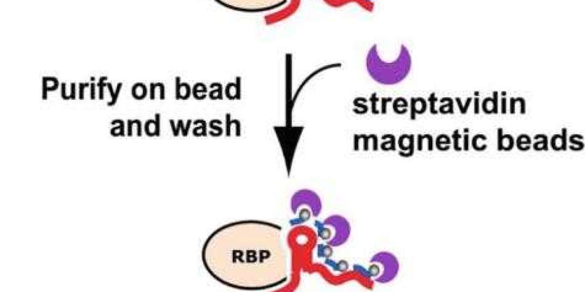 Unraveling the Complexities of RNA-Protein Interactions with ChIRP-MS