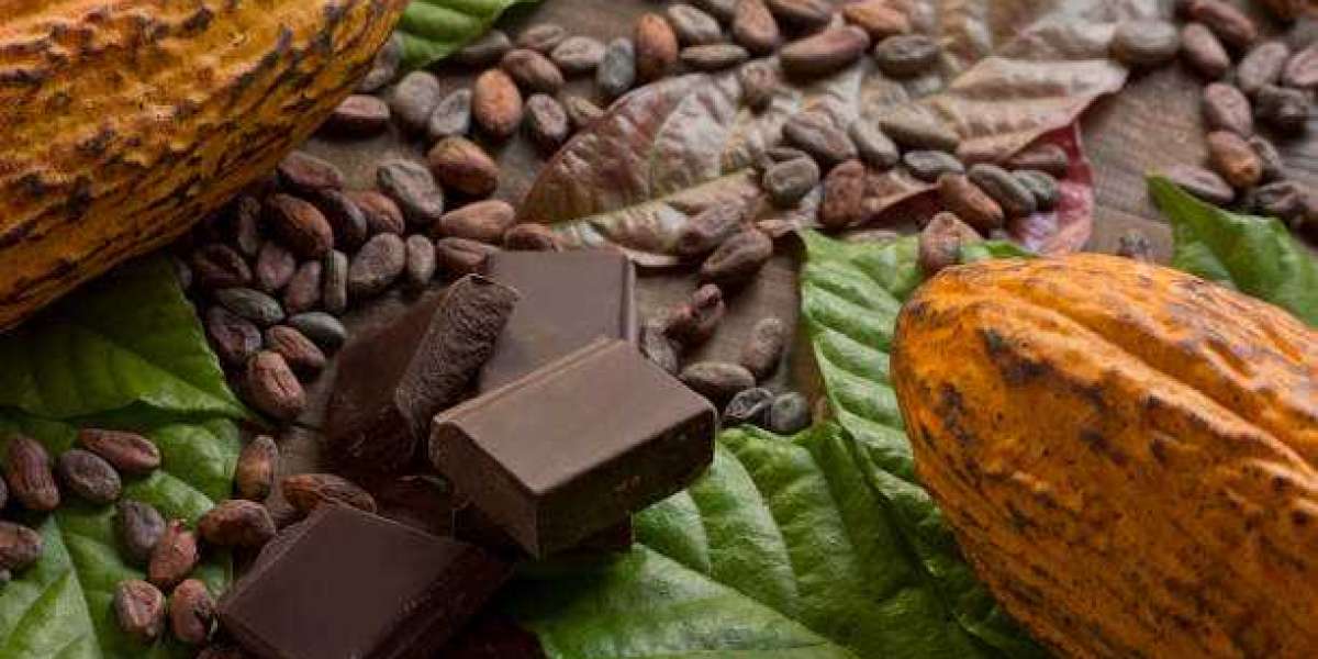 Organic Chocolate Market Trends: Size, Share, and Forecast Report