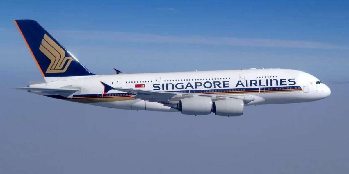 How do I talk to someone on Singapore Airlines?