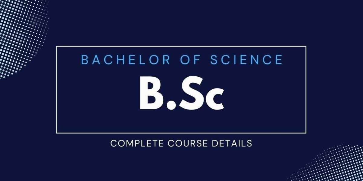 BSc Degrees Unveiled: Your Pathway to Professional Success