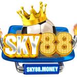 SKY88 money Profile Picture