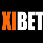 Xibet Profile Picture