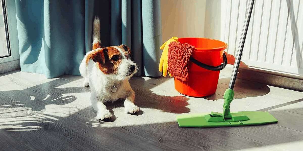 The Ultimate Guide to Professional Pet Urine Removal Services Near You