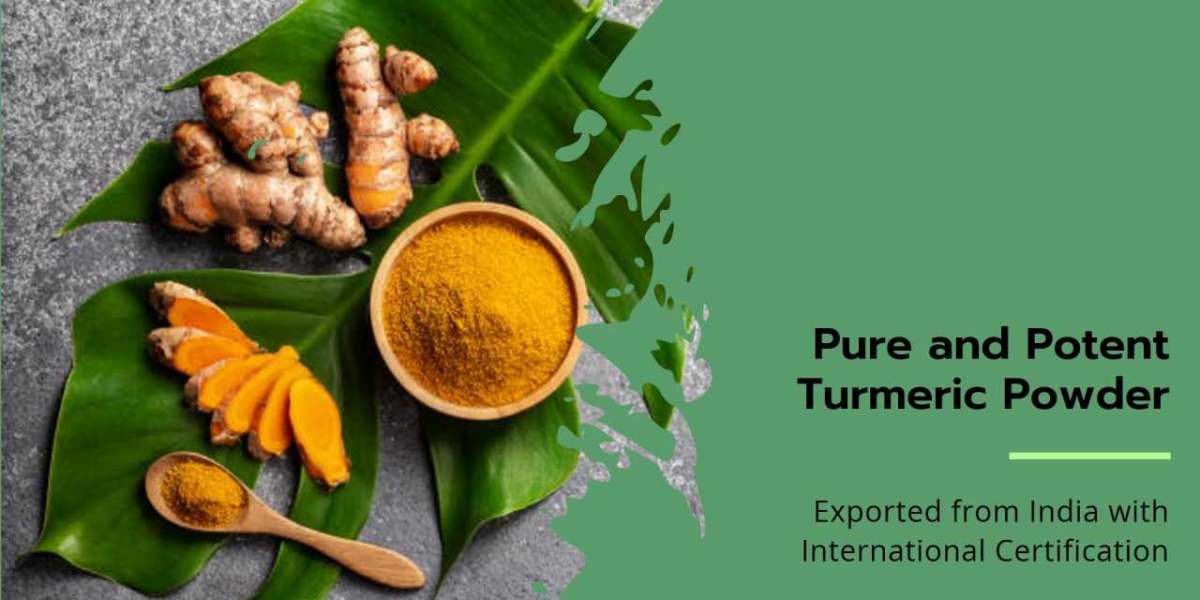 The Golden Standard: Trusted Turmeric Powder Exporters Worldwide