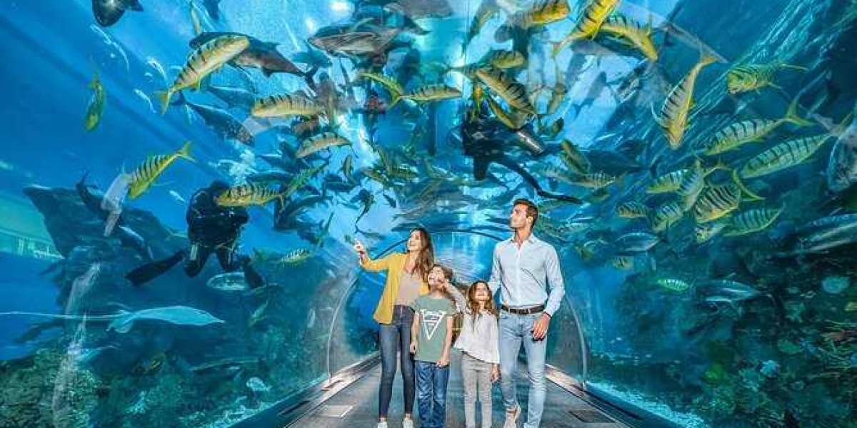 Interesting Facts on Dubai Aquarium And Underwater Zoo