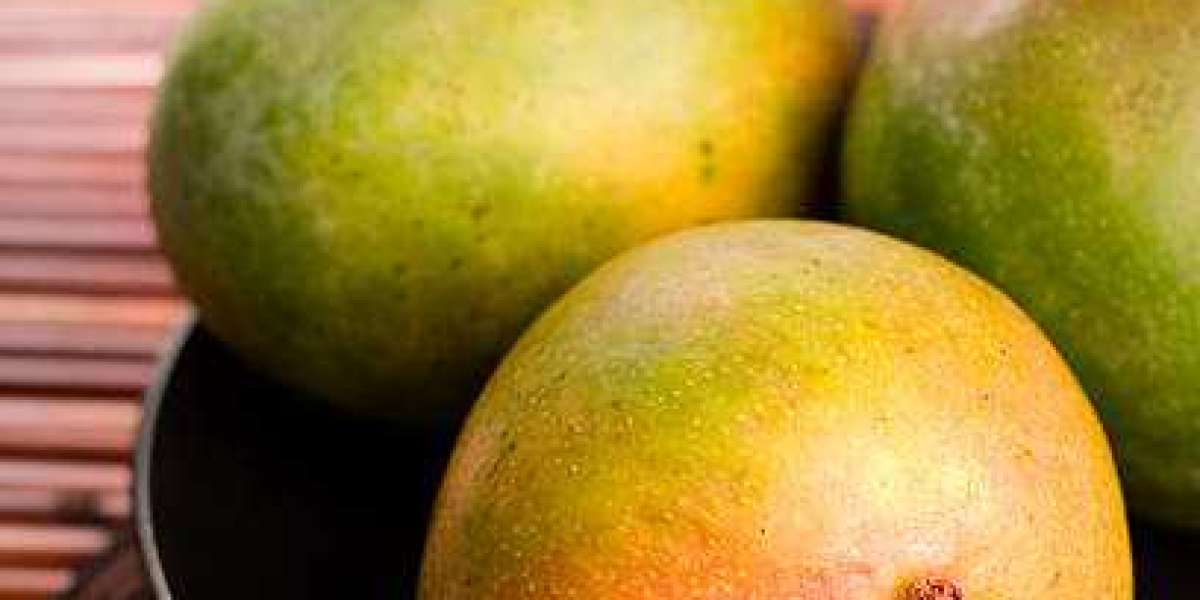 The Ultimate Guide to Mango Importers: Delivering Quality Across Borders